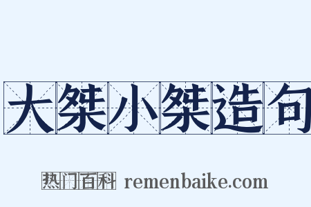 大桀小桀造句是什么意思的图片